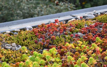 the cost of Southerton green roof installation
